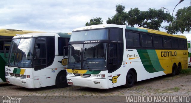 Empresa Gontijo de Transportes 3895 na cidade de Belo Horizonte, Minas Gerais, Brasil, por Maurício Nascimento. ID da foto: 3711147.