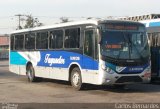 Auto Ônibus Fagundes RJ 101.316 na cidade de Niterói, Rio de Janeiro, Brasil, por Carlos Bernardes. Número da foto: #:id.