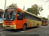 VSLL - Viação Santa Luzia 080 na cidade de Juiz de Fora, Minas Gerais, Brasil, por Renan Vieira. Número da foto: #3678588.