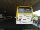 Viação Pioneira 222933 na cidade de Ceilândia, Distrito Federal, Brasil, por Ricardo Vieira. Número da foto: #3716826.