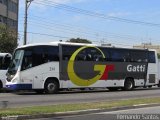Gatti 241 na cidade de São Paulo, São Paulo, Brasil, por Fernando Santos. Número da foto: #:id.