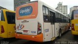 Auto Viação Imperatriz 1238 na cidade de Florianópolis, Santa Catarina, Brasil, por João Vitor  Peixoto. Número da foto: #3720265.