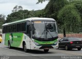 Pássaro Verde 1029 na cidade de Sabará, Minas Gerais, Brasil, por Felipe Gonzalez. Número da foto: #3721537.