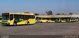 TREL - Transturismo Rei RJ 165.144 na cidade de Duque de Caxias, Rio de Janeiro, Brasil, por Caio César A.. Número da foto: #3723065.