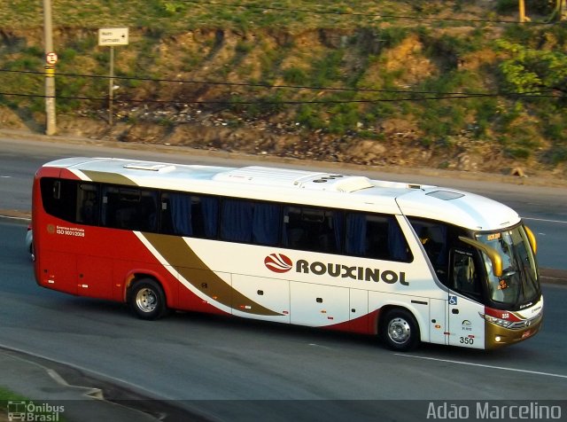 Rouxinol 350 na cidade de Belo Horizonte, Minas Gerais, Brasil, por Adão Raimundo Marcelino. Número da foto: #3725932.