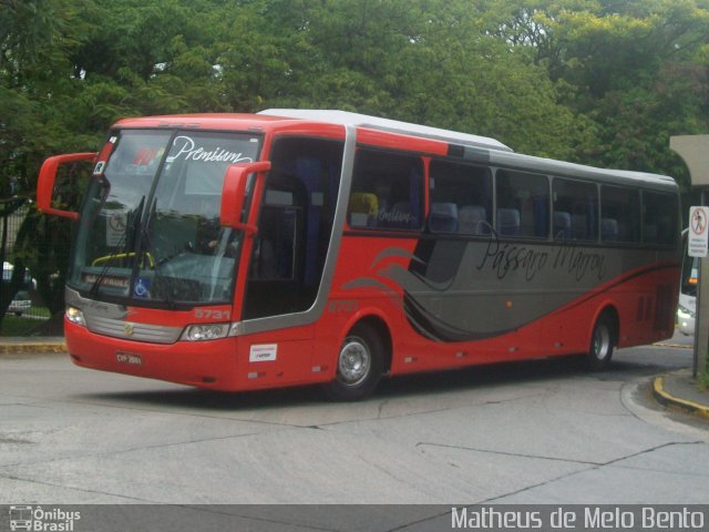 Empresa de Ônibus Pássaro Marron 5731 na cidade de São Paulo, São Paulo, Brasil, por Matheus de Melo Bento. ID da foto: 3726279.