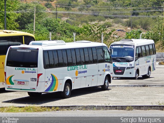 Coopetaju 1220 na cidade de Aracaju, Sergipe, Brasil, por Sergio Marques . Número da foto: #3728259.
