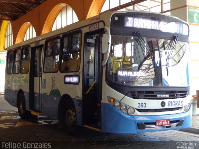 Rigras Transporte Coletivo e Turismo 393 na cidade de Ribeirão Pires, São Paulo, Brasil, por Felipe Gonzales. ID da foto: 3728630.