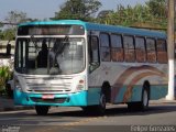 Viação Talismã 761 na cidade de Rio Grande da Serra, São Paulo, Brasil, por Felipe Gonzales. Número da foto: #3728690.