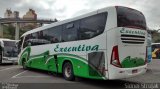 Executiva Transportes e Turismo 1133 na cidade de Aparecida, São Paulo, Brasil, por Sidnei Machado Strujak. Número da foto: #3727283.