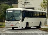 Paraibuna Transportes 001 na cidade de Juiz de Fora, Minas Gerais, Brasil, por Renan Vieira. Número da foto: #3731135.