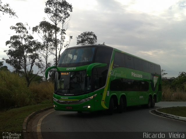 Pássaro Verde 12121 na cidade de Brasília, Distrito Federal, Brasil, por Ricardo Vieira. Número da foto: #3736503.