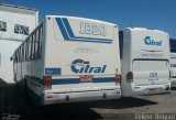 Citral Transporte e Turismo 1820 na cidade de Porto Alegre, Rio Grande do Sul, Brasil, por Felipe  Brignol. Número da foto: #3736542.