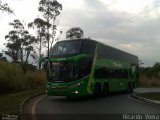 Pássaro Verde 12121 na cidade de Brasília, Distrito Federal, Brasil, por Ricardo Vieira. Número da foto: #3736503.