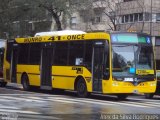 Nuovo Bus Carrocerias 55 na cidade de , por Alex da Silva Rodrigues. Número da foto: #3680666.