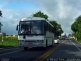 Ônibus Particulares GKO7289 na cidade de Pilar, Alagoas, Brasil, por Thiago Alex. Número da foto: #3742318.