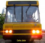 Ônibus Particulares 306 na cidade de Goiânia, Goiás, Brasil, por Carlos Júnior. Número da foto: #3682235.