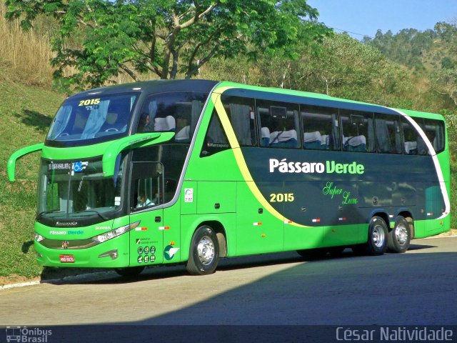 Pássaro Verde 2015 na cidade de Mariana, Minas Gerais, Brasil, por César Natividade. Número da foto: #3685100.