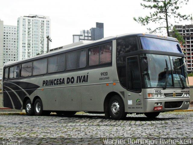 Princesa do Ivaí 9920 na cidade de Curitiba, Paraná, Brasil, por Wagner Domingos Ivanesken. Número da foto: #3683734.