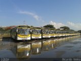 Lotaxi Transportes Urbanos 24732 na cidade de SIA, Distrito Federal, Brasil, por Ricardo Vieira. Número da foto: #3687968.