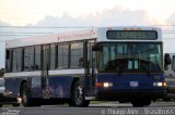 Ônibus Particulares 1007 na cidade de Orlando, Florida, Estados Unidos, por Thiago Alex. Número da foto: #3691409.