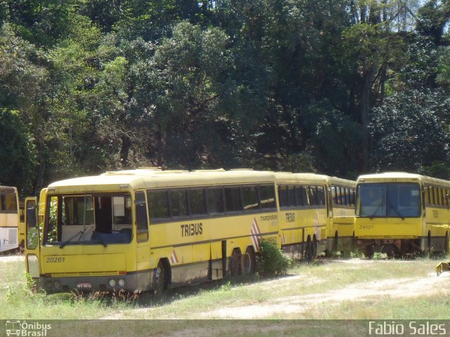 Viação Itapemirim 20261 na cidade de Cachoeiro de Itapemirim, Espírito Santo, Brasil, por Fábio Sales. ID da foto: 3691662.