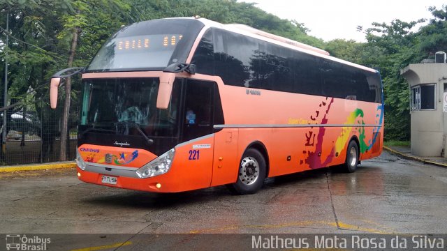 Chilebus Internacional 221 na cidade de São Paulo, São Paulo, Brasil, por Matheus Mota Rosa da Silva. Número da foto: #3744706.