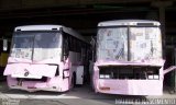 Empresa Gontijo de Transportes 9145 na cidade de Belo Horizonte, Minas Gerais, Brasil, por Maurício Nascimento. Número da foto: #3744167.