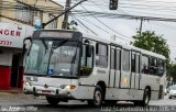 Araucária Transportes Coletivos 19L35 na cidade de Curitiba, Paraná, Brasil, por Luiz Scarabotto . Número da foto: #3743368.