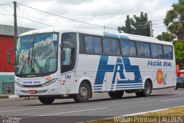 Falcão Real 1305 na cidade de Feira de Santana, Bahia, Brasil, por Willian Pontual. Número da foto: #3769413.