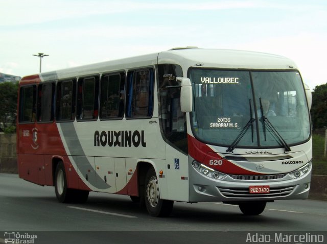 Rouxinol 520 na cidade de Belo Horizonte, Minas Gerais, Brasil, por Adão Raimundo Marcelino. Número da foto: #3776762.