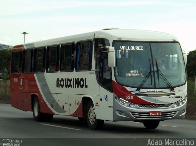 Rouxinol 520 na cidade de Belo Horizonte, Minas Gerais, Brasil, por Adão Raimundo Marcelino. ID da foto: 3776762.