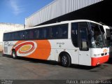 Viação Platina 7010 na cidade de Uberlândia, Minas Gerais, Brasil, por Patrick  Roberto de Matos. Número da foto: #3777418.