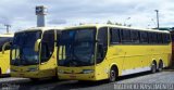 Viação Itapemirim 8033 na cidade de Belo Horizonte, Minas Gerais, Brasil, por Maurício Nascimento. Número da foto: #3776739.