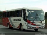 Rouxinol 520 na cidade de Belo Horizonte, Minas Gerais, Brasil, por Adão Raimundo Marcelino. Número da foto: #3776762.