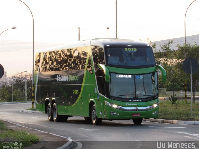 Pássaro Verde 2015 na cidade de Brasília, Distrito Federal, Brasil, por Paulo Ricardo Rodrigues Meneses . Número da foto: #3778375.