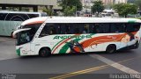 Empresa de Transportes Andorinha 6246 na cidade de Ribeirão Preto, São Paulo, Brasil, por Reinaldo Neto. Número da foto: #3778745.
