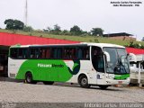 Pássaro Verde 26006 na cidade de João Monlevade, Minas Gerais, Brasil, por Antonio Carlos Fernandes. Número da foto: #:id.