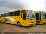 Transportes Coletivos Pérola do Oeste 5241 na cidade de Guarapuava, Paraná, Brasil, por Lucas Henrique Mendes. Número da foto: #3778958.