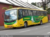 Expresso Caxiense 37019 na cidade de Caxias do Sul, Rio Grande do Sul, Brasil, por Andrew Moraes. Número da foto: #3780267.