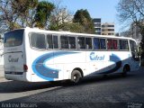 Citral Transporte e Turismo 2206 na cidade de Caxias do Sul, Rio Grande do Sul, Brasil, por Andrew Moraes. Número da foto: #3780288.