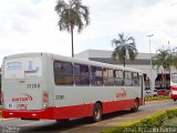 Giotur Transportes e Turismo 31288 na cidade de Anápolis, Goiás, Brasil, por José Antônio Gama. ID da foto: :id.