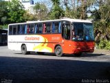 Ozelame Transportes 2443 na cidade de Caxias do Sul, Rio Grande do Sul, Brasil, por Andrew Moraes. Número da foto: #3780275.