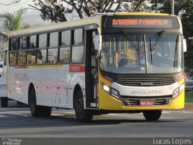 Viação Araguarina 3167 na cidade de Goiânia, Goiás, Brasil, por Lucas Gabriel Resende Lopes. Número da foto: #3782469.