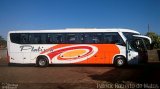 Viação Platina 4100 na cidade de Quirinópolis, Goiás, Brasil, por Patrick  Roberto de Matos. Número da foto: #3783302.