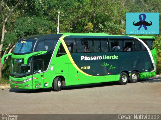 Pássaro Verde 2015 na cidade de Mariana, Minas Gerais, Brasil, por César Natividade. Número da foto: #3784769.