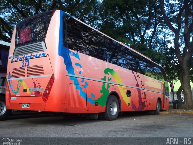 Chilebus Internacional 223 na cidade de São Paulo, São Paulo, Brasil, por Alexandre Rodrigo. ID da foto: 3785294.