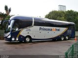 Princesa do Ivaí 21310 na cidade de Curitiba, Paraná, Brasil, por Luiz H. Bassetti. Número da foto: #:id.