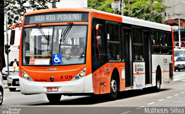 TRANSPPASS - Transporte de Passageiros 8 1219 na cidade de São Paulo, São Paulo, Brasil, por Matheus Silva. Número da foto: #3745876.
