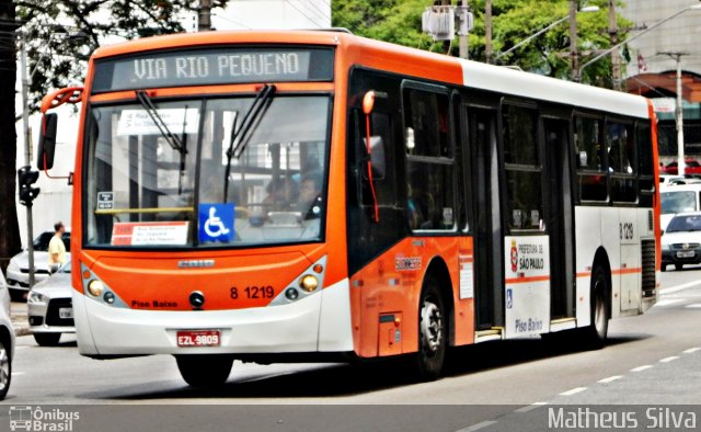 TRANSPPASS - Transporte de Passageiros 8 1219 na cidade de São Paulo, São Paulo, Brasil, por Matheus Silva. ID da foto: 3745876.